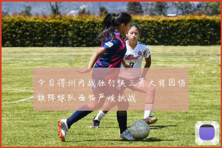 今日得州内战独行侠三员大将因伤缺阵球队面临严峻挑战